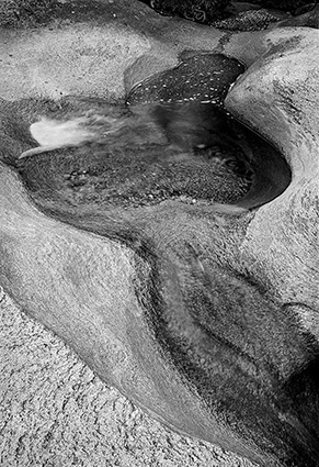 NivaFoto, Convivenza